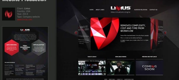 Linius partners with Digisoft for individually targeted ads